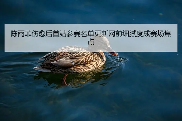 陈雨菲伤愈后首站参赛名单更新网前细腻度成赛场焦点
