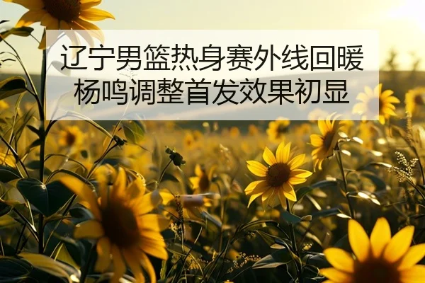 辽宁男篮热身赛外线回暖 杨鸣调整首发效果初显