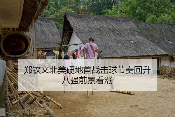 郑钦文北美硬地首战击球节奏回升 八强前景看涨